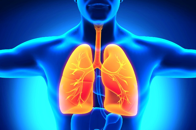 यसरी राखौं फोक्सोलाई स्वस्थ