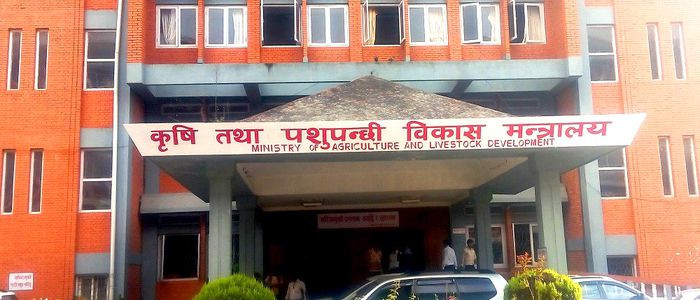 कृषिको आगामी बजेट : प्रत्येक पालिकामा १० देखि २० टन क्षमताका कोल्ड च्याम्बर