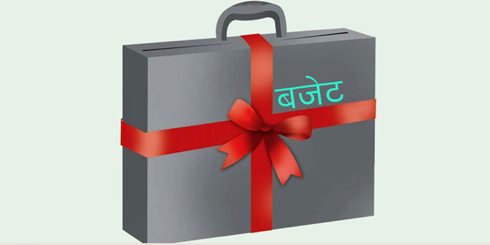 'मतदातालाई प्रभावित पार्ने कार्यक्रम बजेटमा नराखियोस्'