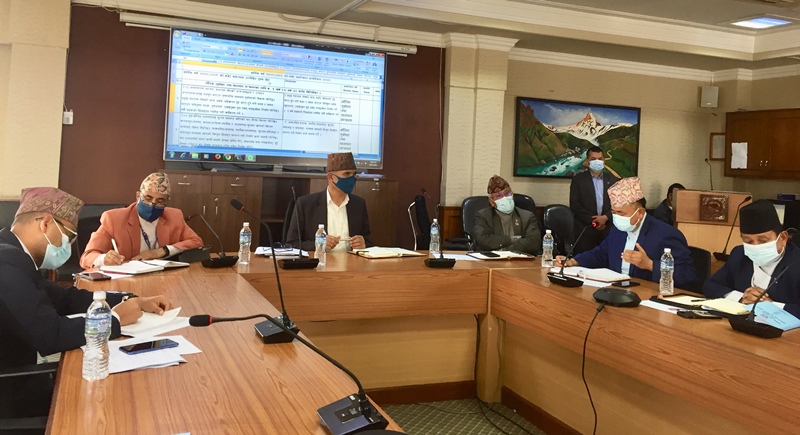 बजेट कार्यान्वयका लागि कार्ययोजना बनाउन अर्थमन्त्रीको निर्देशन