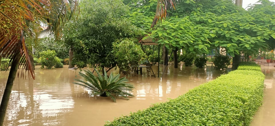 चितवनमा बाढी, सौराहालगायतका ठाउँ डुबानमा (फोटो फिचर)