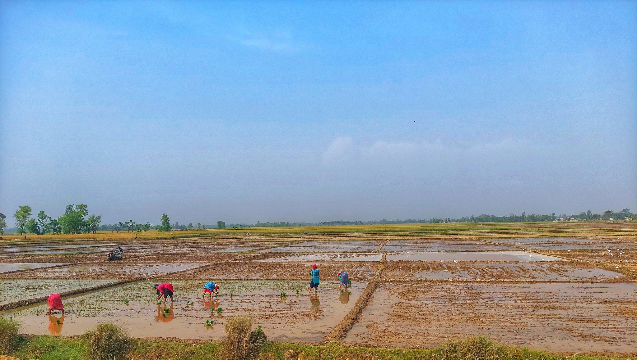 सूचकांकमा आधारित कृषि बिमाबारे छलफल