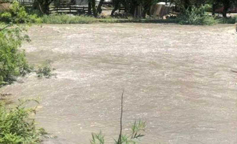 सशस्त्र प्रहरीले डुबानमा परेका ३९ परिवारको खाद्यान्न जोगायो