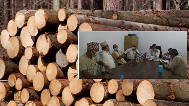 वन मासिएको मासिएकै : कर्मचारी र दल आरोप प्रत्यारोपमा