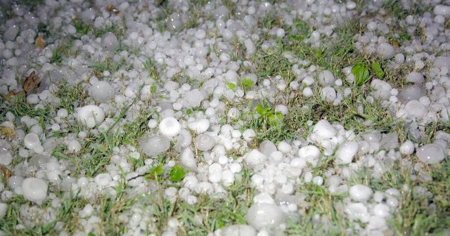 मौसम बदलीले अन्नबाली नष्ट हुन थालेपछि किसान चिन्तित