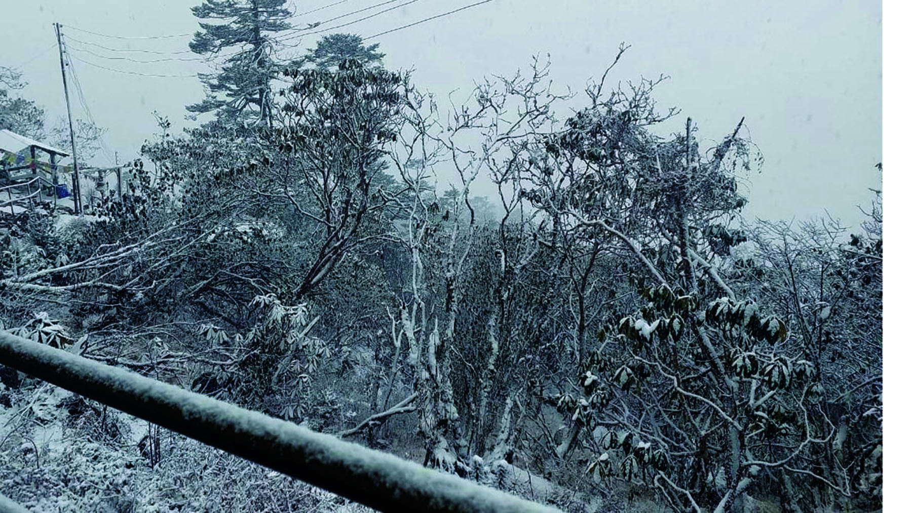 हिउँले सेताम्य पाथीभरा