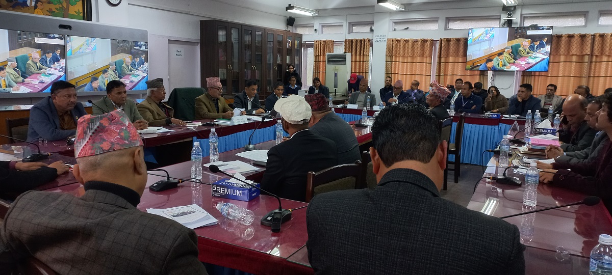एनसेलबारे ४८ घण्टाभित्र धारणा सार्वजनिक गर्न सरकारलाई लेखा समितिकाे निर्देशन