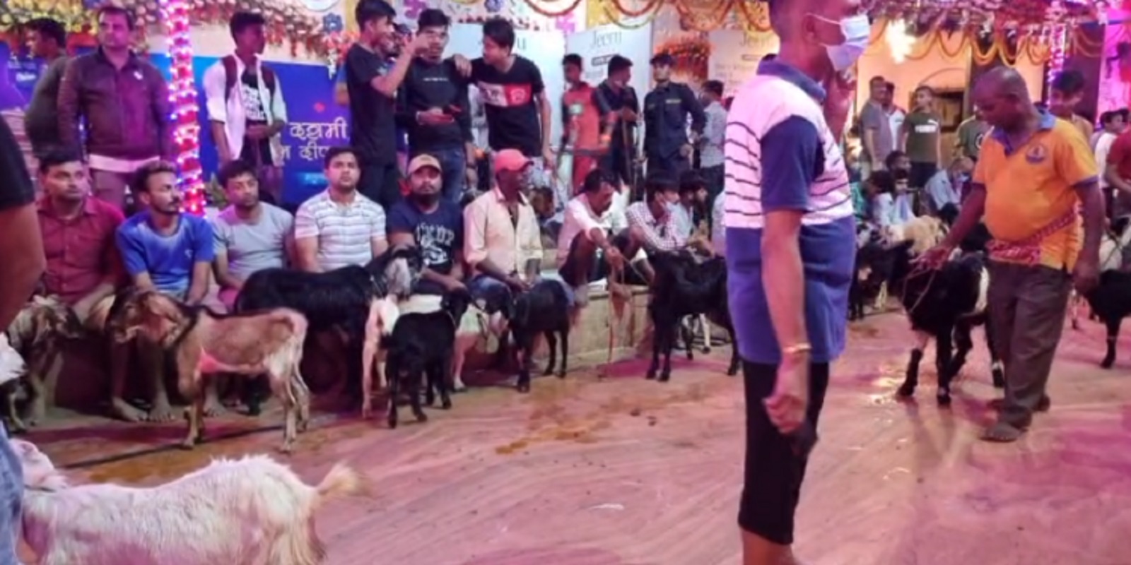 राजदेवी मन्दिरमा १४ हजारभन्दा बढी बोका बलि दिइयो