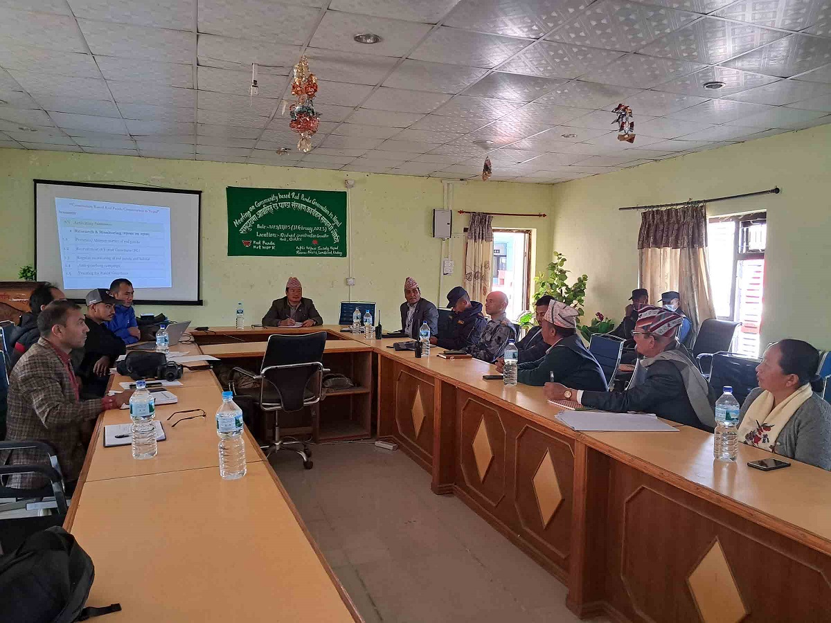 खोटाङमा रेडपाण्डा संरक्षण कार्यक्रम सुरु