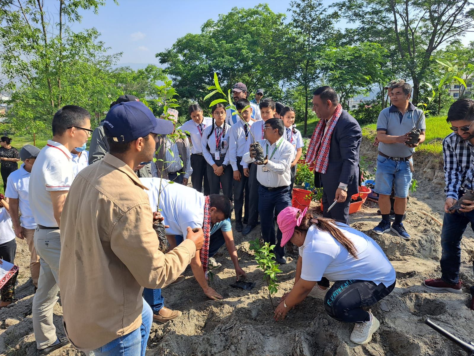 विश्व वातावरण दिवसमा बीवाइडीले रोप्यो १५ सय बिरुवा