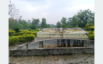 पर्यटक लोभ्याउँदै हजारौँ दुर्लभ वनस्पतिले सजाइएको धनुषाधाम उद्यान
