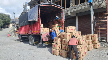 मुस्ताङमा यो वर्ष एक अर्बभन्दा बढीको स्याउ उत्पादन