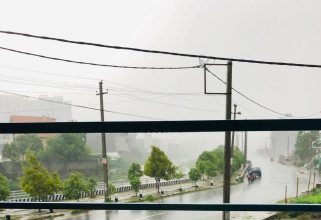 मनसुनी हावा सक्रिय हुँदा अधिकांश स्थानमा वर्षा