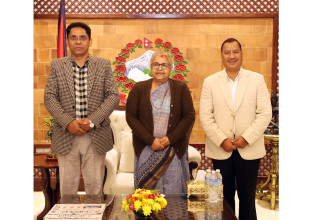 प्रधानमन्त्री र नेकपा माओवादीका नेताबीच भेटवार्ता