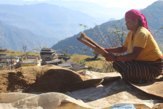 कोदोबाट कमाउँदै गाउँका महिला