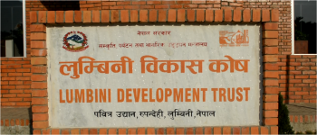 लुम्बिनी विकास कोषका १२ पदमा सात सयभन्दा बढी आवेदन