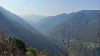 दक्षिण एसियामा वन : नेपाल दोस्रो स्थानमा