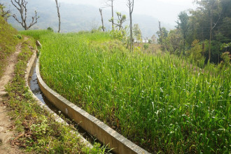 ५२ हेक्टर क्षेत्रफलमा सिँचाइ सुविधा विस्तार