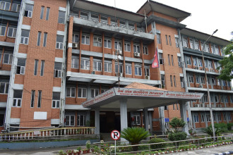 आगामी आवको बजेटमा यस्ता छन् वन मन्त्रालयका नयाँ कार्यक्रम