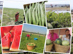तरकारीको विषादी जाँच्न बनेको प्रयोगशाला अलपत्र