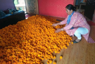 तिहारमा २४ करोड फूलको कारोबार