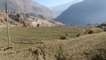 बाँझो जग्गालाई उपयोगमा ल्याउन भूमि बैंक सञ्चालन हुँदै
