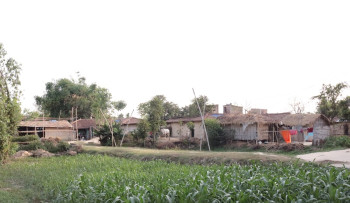 सर्लाहीमा अत्यधिक गर्मीले सर्पको बिगबिगी
