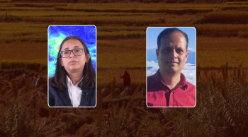 ‘अर्नव’ चक्रवातको जोखिममा कृषि र पर्यटन, सतर्कता अपनाउन आग्रह  [भिडियो]