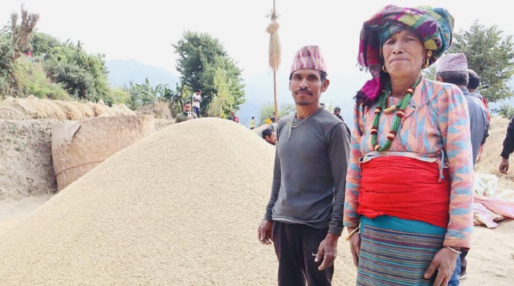 १६८ मुरी धान फलाएका बम्जन दम्पतीलाई ५० हजार पुरस्कार