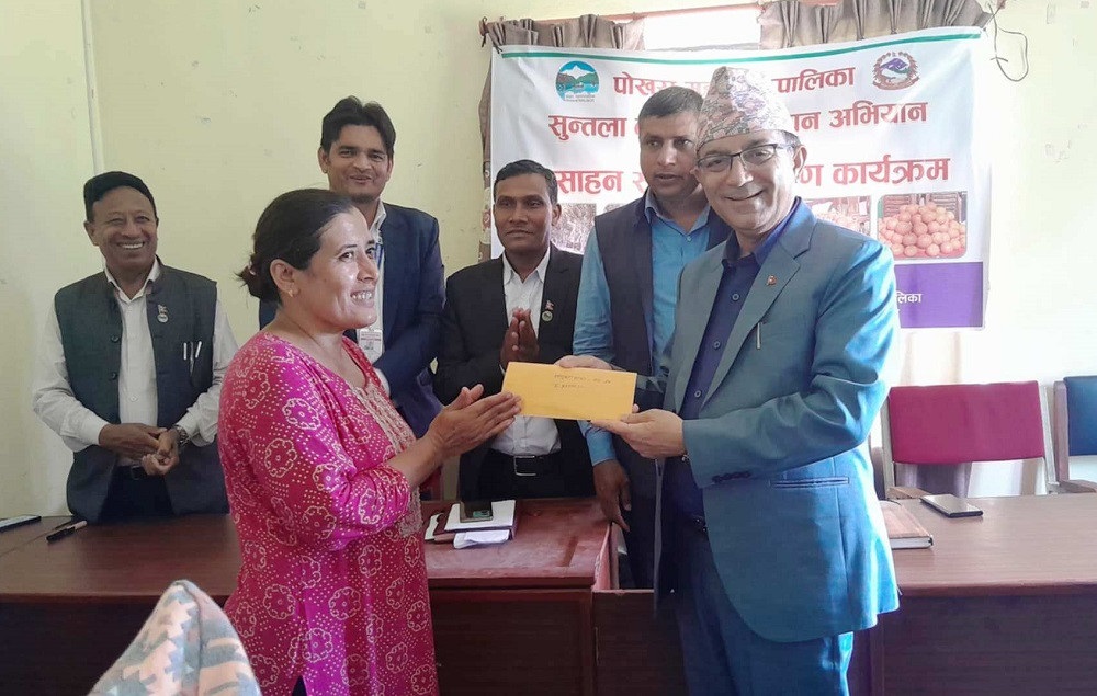 सुन्तला बगैंचा व्यवस्थापनका लागि किसानलाई अनुदान