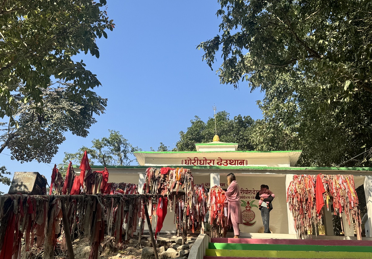 कैलालीका थारू समुदाय लवाङ्‍गी पूजामा रमाउँदै