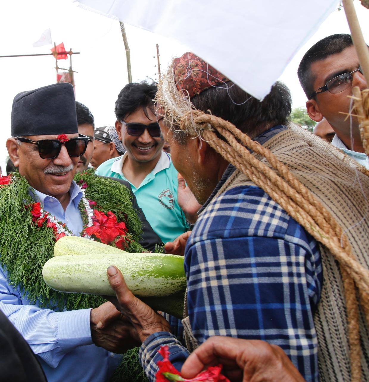 प्रचण्डलाई हरियो काँक्रोले स्वागत