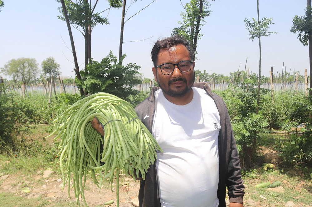 १३ बिघा जग्गा भाडामा लिएर तरकारीखेती, ३८ जनालाई रोजगारी
