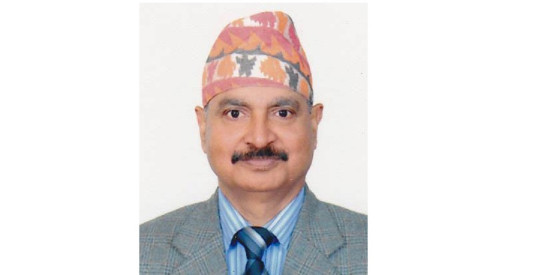 टेरामक्स प्रकरणमा दिगम्बर झासँग तीन लाख धरौटी माग