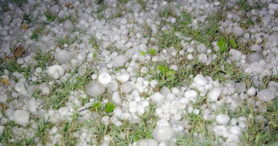 मौसम बदलीले अन्नबाली नष्ट हुन थालेपछि किसान चिन्तित