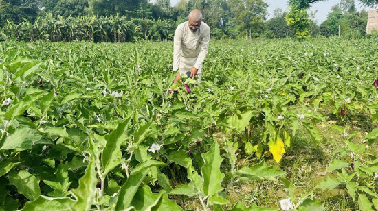 अरुको सफलता-असफलताका कथा लेख्ने अर्जुन यसरी बने आफैं समाचार