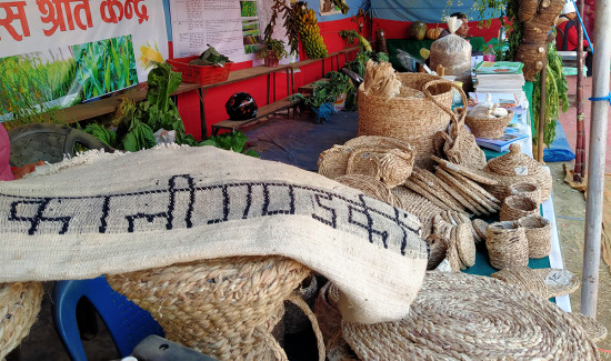 केसम्म बन्दैन केराको थामबाट !