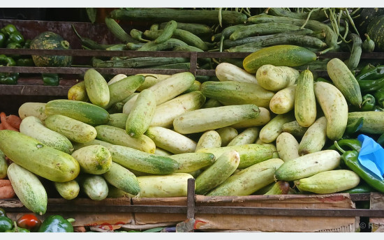 काँक्रोले दक्षिण धादिङका किसान निराश