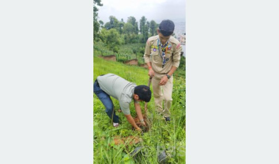 मदन स्मृति उद्यानमा वृक्षारोपण