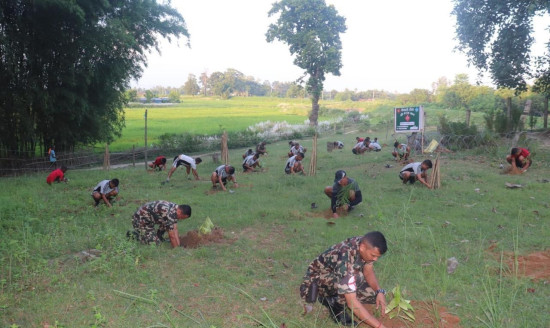 प्रकृति संरक्षणमा नौ हजार सेना