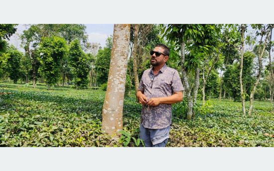 रबिको ‘मिश्रित खेती’मा २७ प्रजातिका नगदेबाली