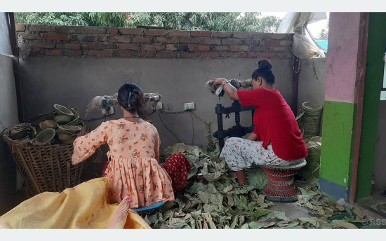 दुनाटपरी उद्योगबाट मनग्य आम्दानी गर्दै भावना