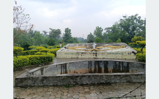 पर्यटक लोभ्याउँदै हजारौँ दुर्लभ वनस्पतिले सजाइएको धनुषाधाम उद्यान
