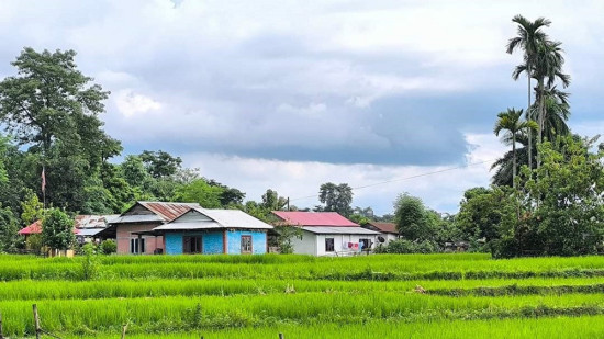 व्यावसायिक कृषि क्षेत्रमा आकर्षित बालचन खोरियाका किसान