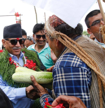 प्रचण्डलाई हरियो काँक्रोले स्वागत