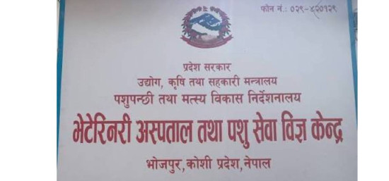 चाडबाड नजिकिँदै गर्दा भोजपुरमा बजार अनुमगन तीव्र