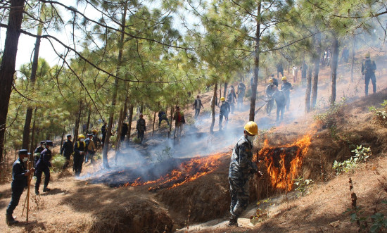 खोटाङमा आगो निभाउने अभ्यास