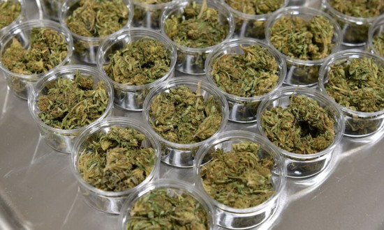 त्रिभुवन विमानस्थलबाट १०८ कार्टुन गाँजा बरामद