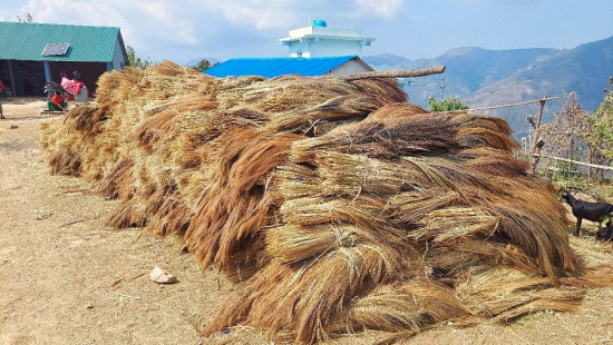 कबुलियत वनले कमायो अम्रिसोबाट ३ करोड