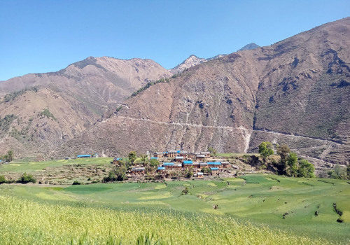 पुजारीगाउँको जिउलोको बीचमा रहेको गाउँ